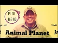 Download Lagu Pidi Baiq - Animal Planet (Lyrics)