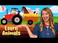 Lagu Old MacDonald Had A Farm | Kids Nursery Rhymes \u0026 Songs for Children