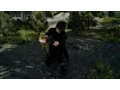 Professor Protege s Yellow Frogs Side Quest Final Fantasy XV