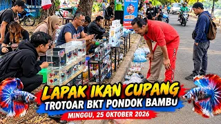 LAPAK IKAN CUPANG DI TROTOAR BKT PONDOK BAMBU