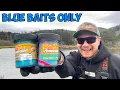 BLUE BAITS ONLY Stocked Trout Fishing Challenge Stocking Truck Showed Up