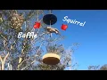 Ninja Squirrel vs Baffle - Do Squirrel Baffles Work