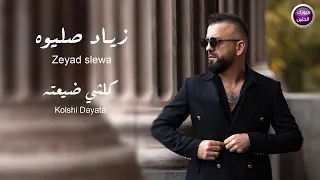 زياد صليوه - كلشي ضيعته ( فيديو كليب)|2026