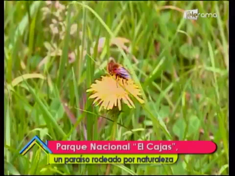 Parque Nacional El Cajas un paraíso rodeado por naturaleza