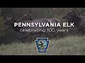 Pennsylvania Elk Celebrating 100 Years - Short Version