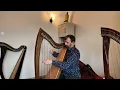 Camac Excalibur and Dusty Strings FH36S - harp comparison