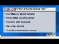 Students pepper sprayed during fight at Bradwell Institute