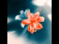 Gum Ho Kaha