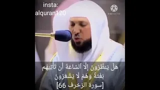   يا عبادي لا خوف عليكم اليوم ولا انتم تحزنون  بصوت الشيخ ماهر المعيقلي دندنها