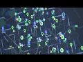 Aurora police show how Flock cameras work behind the scenes