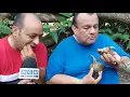 Ir al campo a comer frutas como guapinoles caraos anonas y tapacubos costumbres que van desaparec