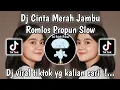 Download Lagu DJ CINTA MERAH JAMBU ROMLOS PROPUN SLOW SOUND VIRAL TIKTOK TERBARU 2025