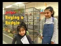 Buying a Budgie Parakeet Bird for the First Time from a Pet Shop - Jollyes UK