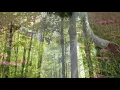 Download Lagu By Sergei Chekalin💿📀Sunny morning