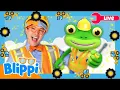 LIVE Blippi Gecko s Big Excavator Adventure Full Episodes Songs Learning for Kids