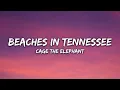 Cage The Elephant - Beaches In Tennessee (Lyrics)