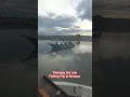 Download Lagu Thursday Fishing Trip. #fishing #macingdasaran #viralvideo #mancing #mancingmania #viral #shorts