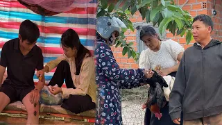 Alan Slowly Recovers With Tu Vi S Care But Her Pain Returns Father Fights To Protect The Chickens  Alan Slowly Recovers With Tu Vi S Care But Her Pain Returns Father Fights To Protect The Chickens