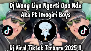 dj wong liyo ngerti opo ndx aka ndx aka wong liyo ngerti opo dj viral tiktok terbaru 2025