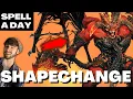 SHAPECHANGE Turn Into Monsters - Spell A Day D D 5E 2
