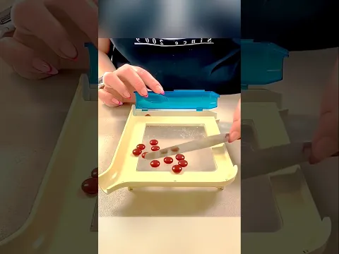 Even a cat can do this pt1