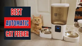 Best Automatic Cat Feeder For Multiple Cats Watch This Before You Make a Choice