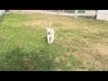 Danny Fetching