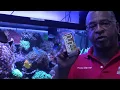 Frank's Tanks F-Aiptasia Killer 1oz Bottle - Video 2 of 1