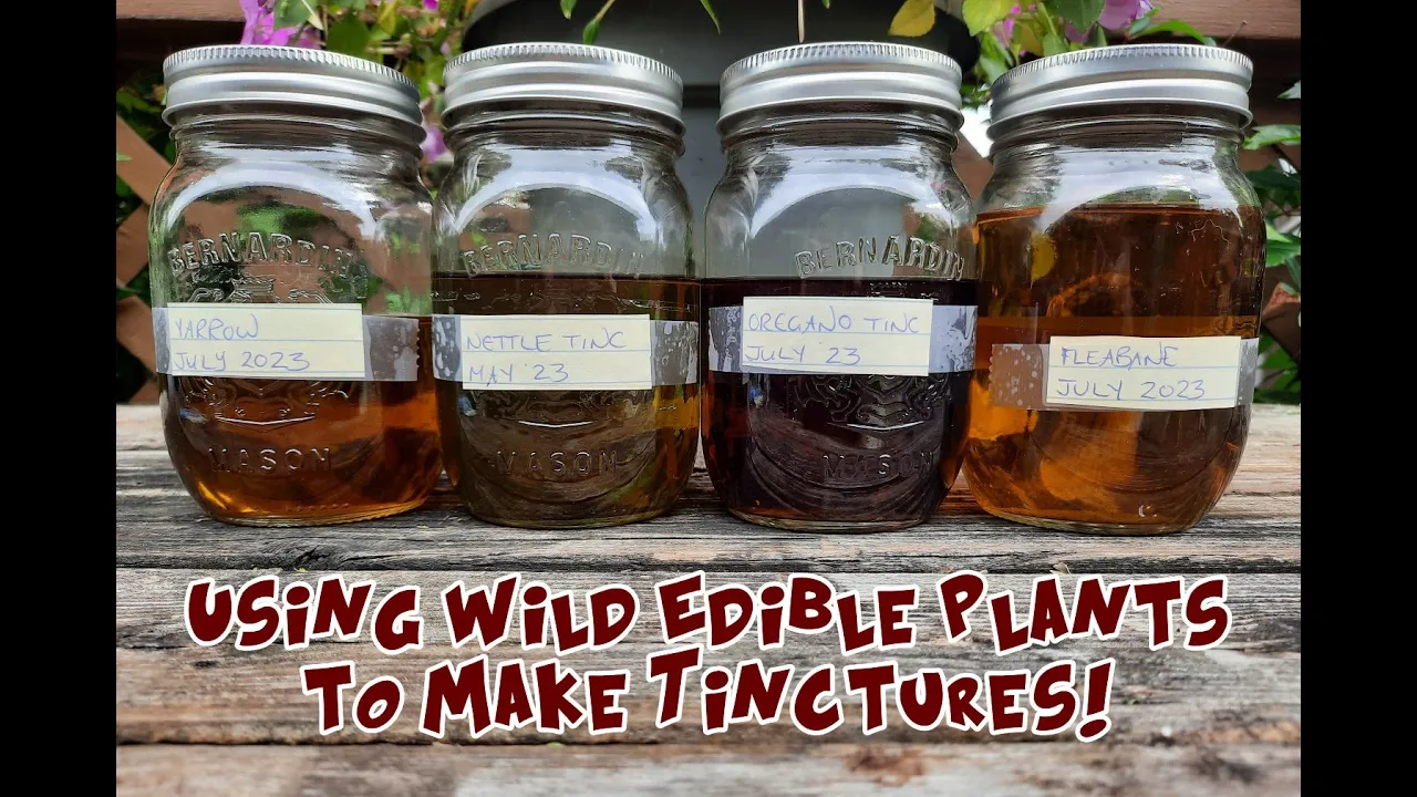 Using Wild Edible Plants to Make Tinctures