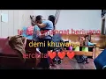 Download Lagu CARA MENGANGKAT ORANG LUMPUH DARI KURSI RODA KERANJANG