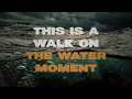Matt Hammitt - Walk On The Water Moment (Official Lyric Video)