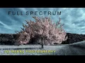 Full Spectrum Infrared Photography
