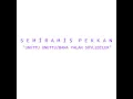 Bana Yalan Söylediler - Semiramis Pekkan