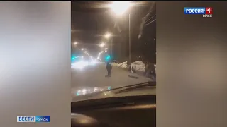 «Вести Омск» узнали, куда бежали пони