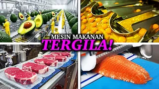 Inilah Robot Industri Makanan Paling Canggih yang Bekerja Sangat Presisi dan Level Dewa!