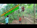 Download Lagu Lagi Dan Lagi Ada Bag0ng Di Kebon...Auto Kaget Cari Pohon..Dan Ternyata..