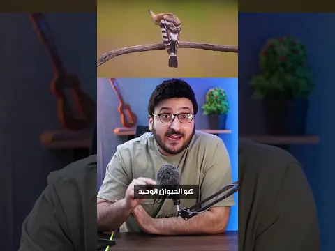 معلومات هتسمعها لأول مرة 🔥  #shortvideo