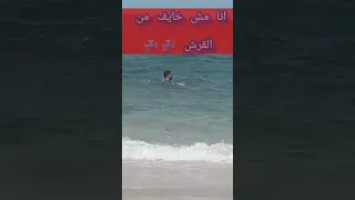 لحظة هجوم سمك القرش علي شخص في البحر 