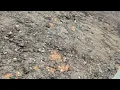 W5D1718 running engine 17 s60 Martin s Import Salvage