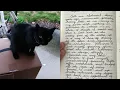 Coffee Conversation - Audie s Strange Week Some Thoughts on Cursive