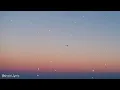 Billie Eilish - Billie Bossa Nova (Lyrics)