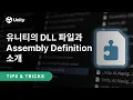 TIPS DLL Assembly Definition