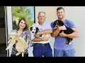 Tim Tebow Family Wife Siblings Parents