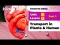 Sec 1 Transport in Plants Human Unit 3 - Lesson 2