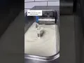 The Truth About McDonald s Ice Cream Machine