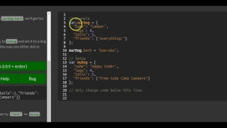 Add New Properties to a Javascript Object freeCodeCamp Basic Javascript