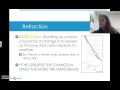 Behavior of Waves