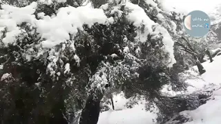 حبيتك بالصيف فيروز بدون موسيقى  حبيتك بالصيف فيروز بدون موسيقى