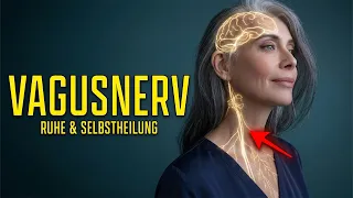 Vagusnerv – dein Ruhenerv. So bringst du ihn ins Gleichgewicht