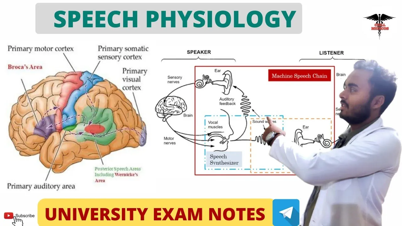 Speech physiology || Broca Area | Wernicke Area | CNS Physiology